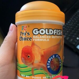 thuc an cho ca vang gold fish